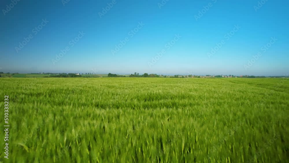 Aerial drone flying over grassland, field, beautiful springtime. Aerial drone flying over grassland, field, beautiful springtime.