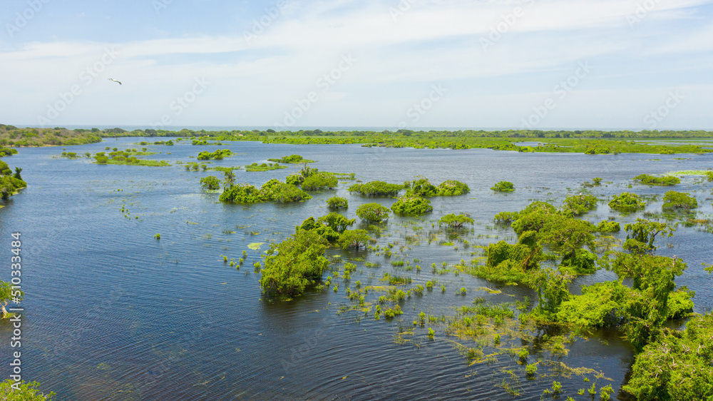 Aerial view of lake in the Kumana National Park, which is home to wild animals and birds. Sri Lanka. Aerial view of lake in the Kumana National Park, which is home to wild animals and birds. Sri Lanka.