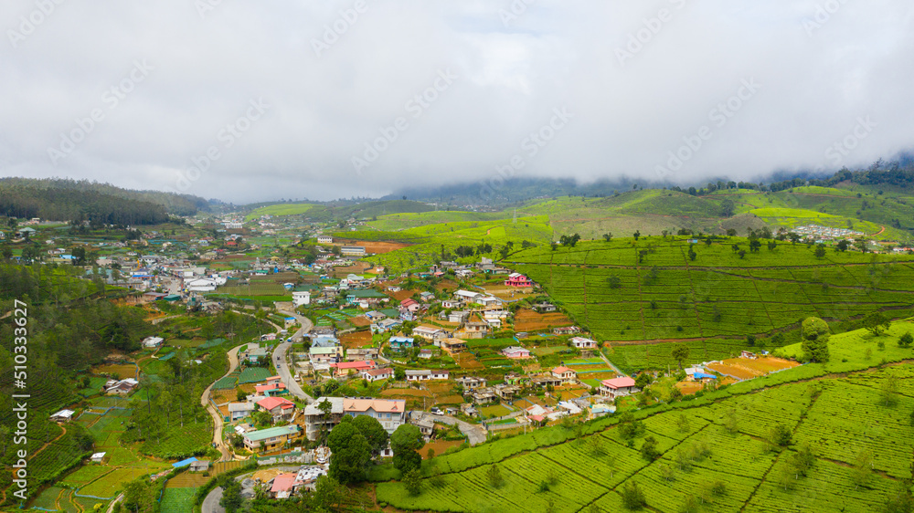 Aerial drone of Green tea plantation. Nuwara Eliya, Sri Lanka. Tea estate landscape.