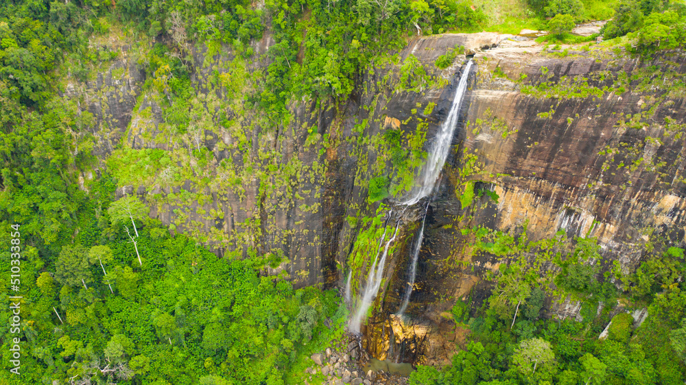 Waterfall among tropical jungle with green plants and trees. Diyaluma Falls, Sri Lanka.