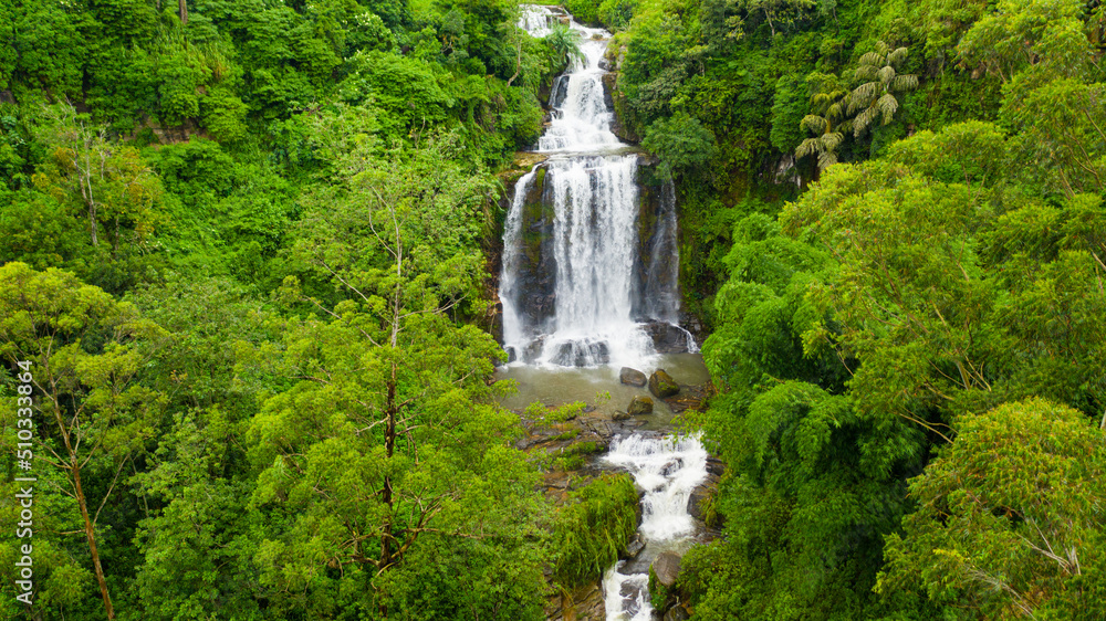 Obraz premium A tropical waterfall in the jungles of Sri Lanka. Mount Vernon Waterfall.