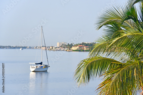 Sailboat anchored with palm tree in foreground along the intracoastal waterway near Lantana beach in South Florida