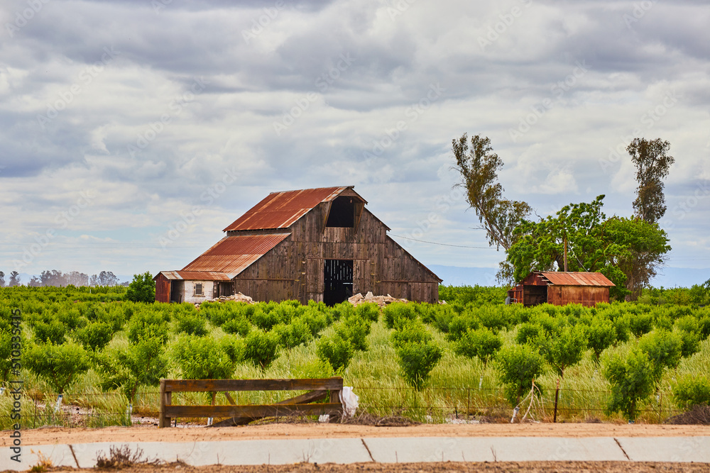 Spring fruit farm with red barn on cloudy day