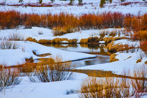 Snow-covered plains with creek weaving around red grasses