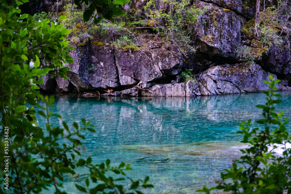 Fototapeta premium Lake in the woods