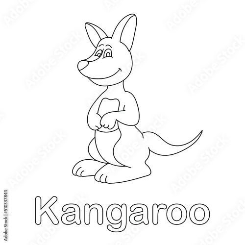 Kangaroo coloring page line art animal vector