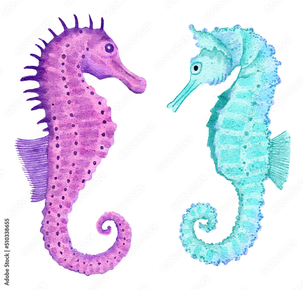 Fototapeta premium Watercolor illustration of seahorse in blue turquoise purple colors, ocean sea underwater wildlife animals. Nautical summer beach design, coral reef life nature.