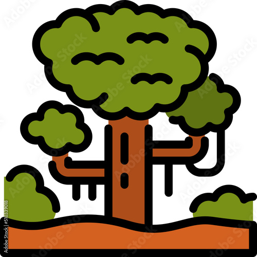 rainforest color outline icon
