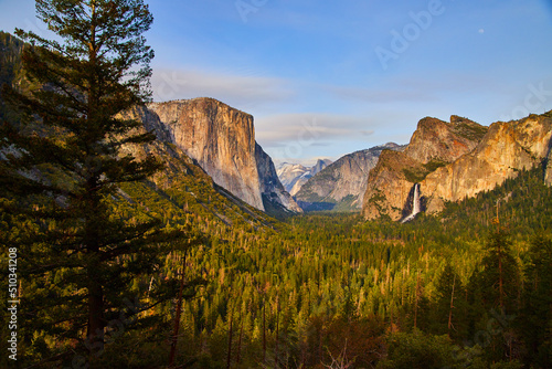 Sunset over the gorgeous Yosemite Tunnel View of entire valley with pine tree in foreground