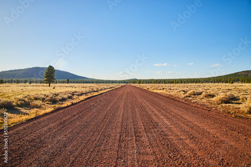Red dirt road in desert landscape leading straight into the horizon