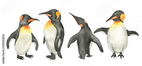 Set penguins
