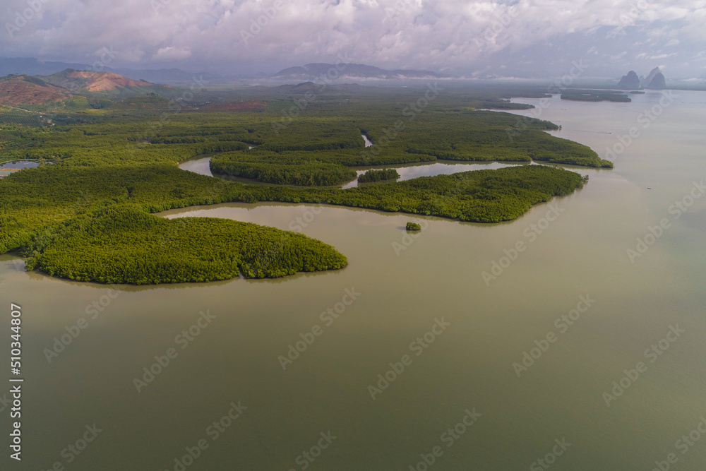 Aerial view morning sunrise green mangrove forest sea bay