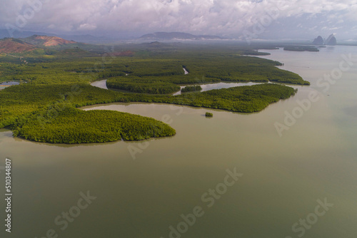 Aerial view morning sunrise green mangrove forest sea bay © themorningglory