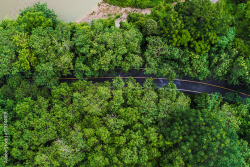 Aerial view asphalt rural road in tree forest park