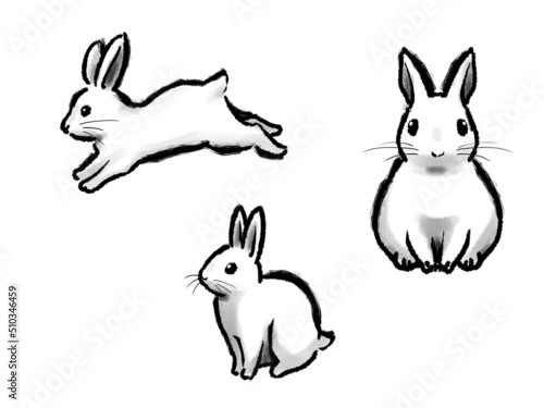 水墨画風の白ウサギ