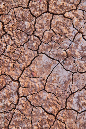 Looking down on ground in desert covered in cracks