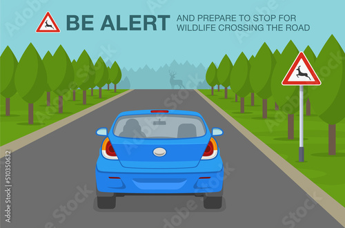 Safe car driving and traffic regulation rules. Car is reaching the animals crossing area. Road sign indicates to be alert and prepared to stop for wildlife crossing the road. Flat vector illustration.