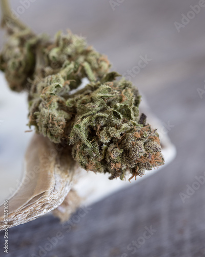 Cannabis buds dried and trimmed in natural light