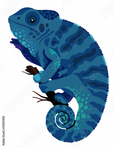 vector blue chameleon on a white background