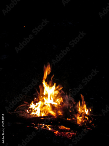 Isolated bonfire at night on a black background. Logs burn in a small bright orange-yellow flame tongue