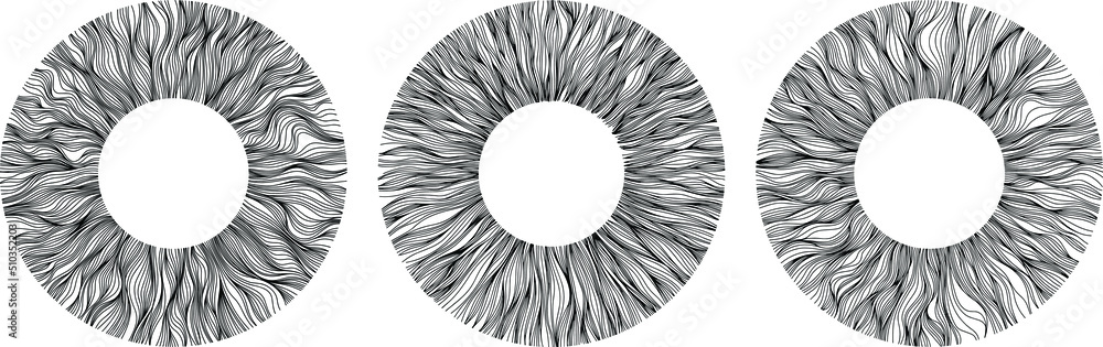 Abstract eye illustration. Iris decorative image. Circle vector line sketch.