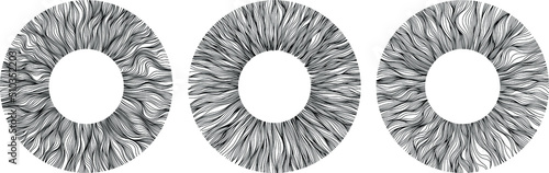 Abstract eye illustration. Iris decorative image. Circle vector line sketch.