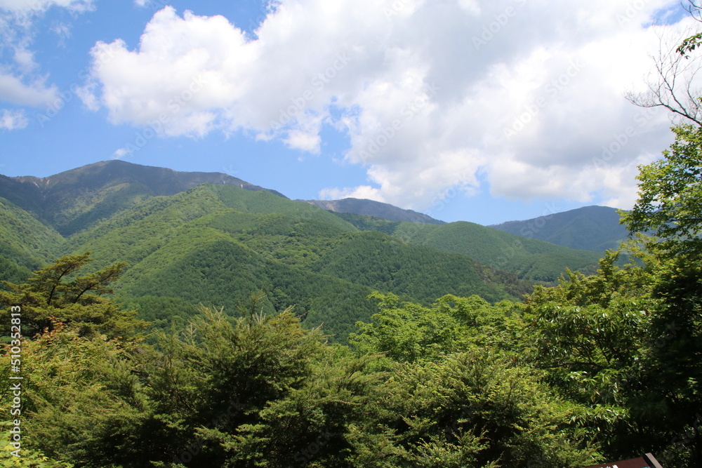 日本の山の風景。山梨県西沢渓谷を囲む山。
