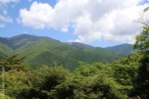 日本の山の風景。山梨県西沢渓谷を囲む山。