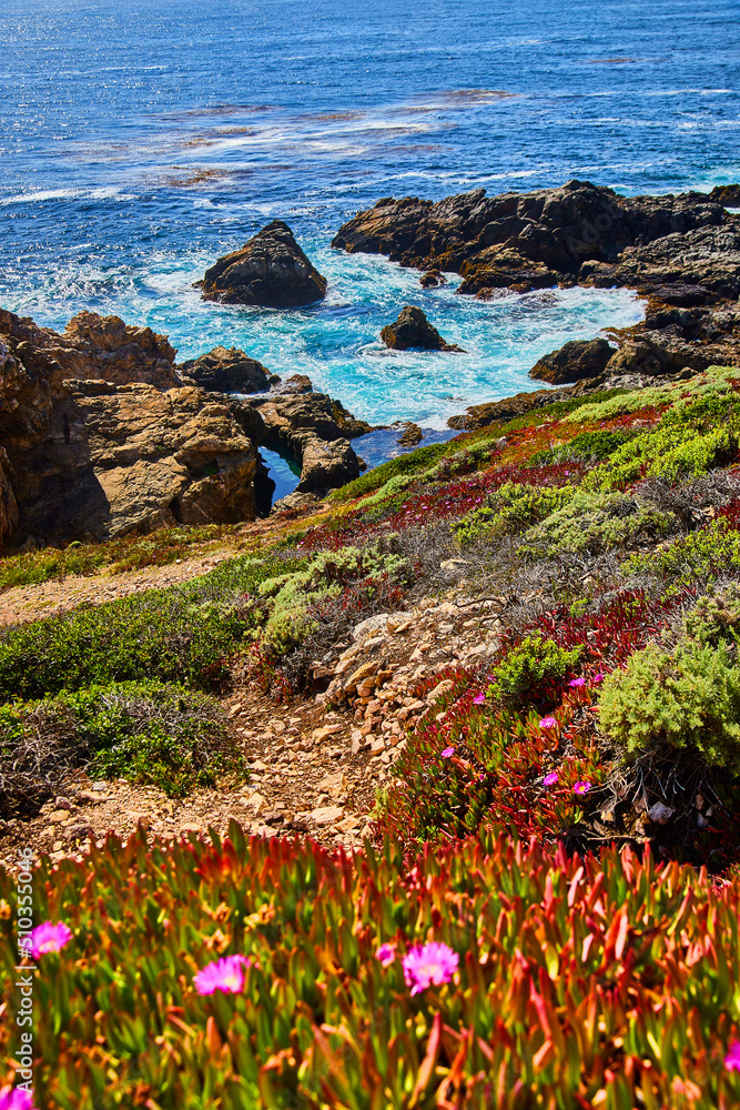 Ocean waves crashing into rocky coast with pink spring flowers in foreground