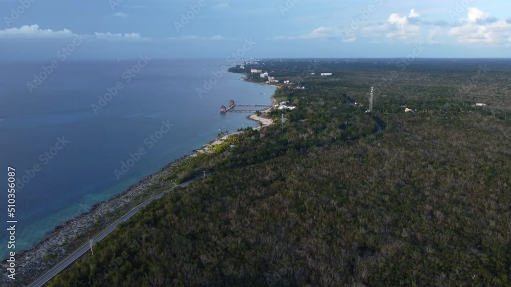 Jungle Forest Mexico Cozumel Island shore tropical green palmtree palm trees remote water ocean vacation holiday Jungle Forest Mexico Cozumel Island shore tropical green palmtree palm trees remote water ocean vacation holiday