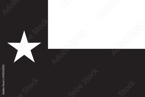 Texas State Flag In Black And White