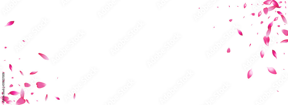 Transparent Apple Petal Vector Panoramic Transparent Apple Petal Vector Panoramic