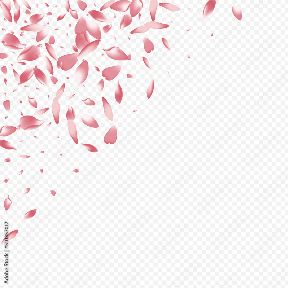 Color Sakura Vector Transparent Background.