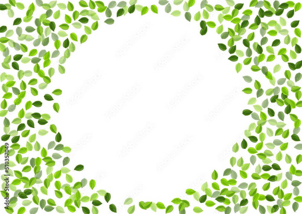 Grassy Leaf Abstract Vector Backdrop. Organic Grassy Leaf Abstract Vector Backdrop. Organic
