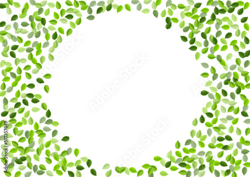 Grassy Leaf Abstract Vector Backdrop. Organic