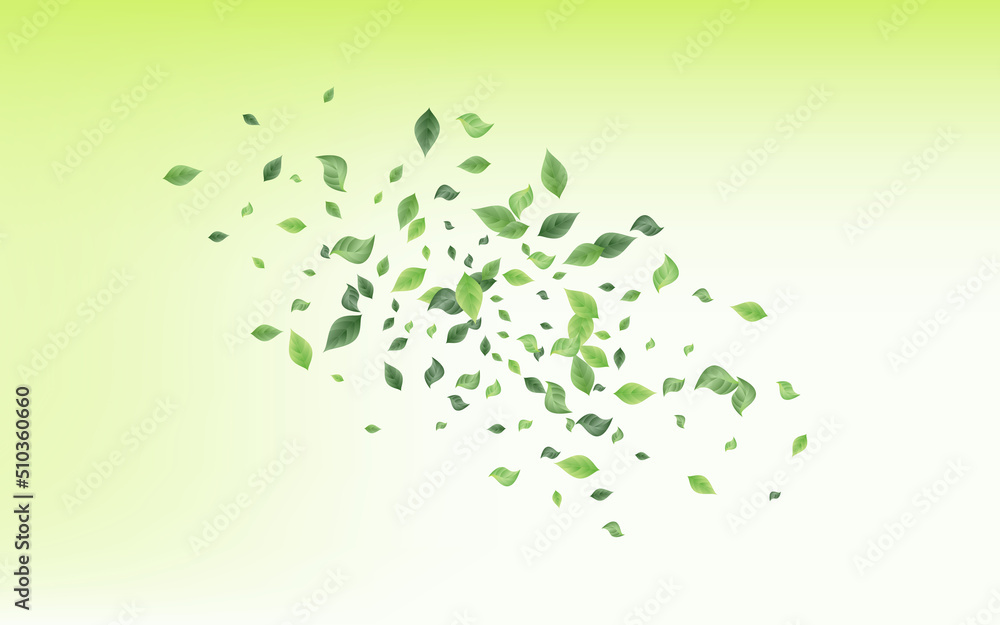 Swamp Foliage Realistic Vector Green Background Swamp Foliage Realistic Vector Green Background