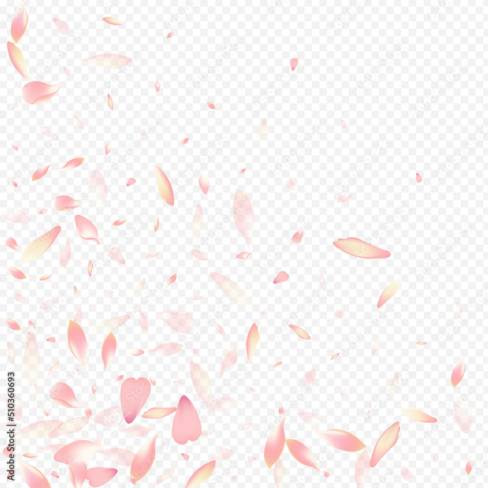 Pink Petal Vector Transparent Background. Sakura Pink Petal Vector Transparent Background. Sakura