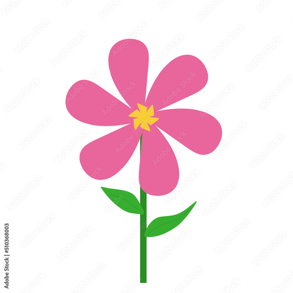 Fototapeta premium Pink flowers