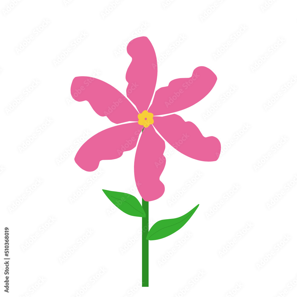 Fototapeta premium Pink flowers