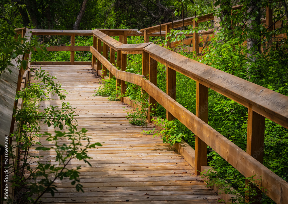 Wooden Eco path Bridge in summer Park in BC Canada.