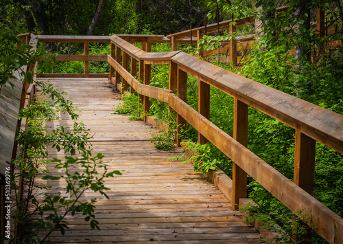Wooden Eco path Bridge in summer Park in BC Canada.