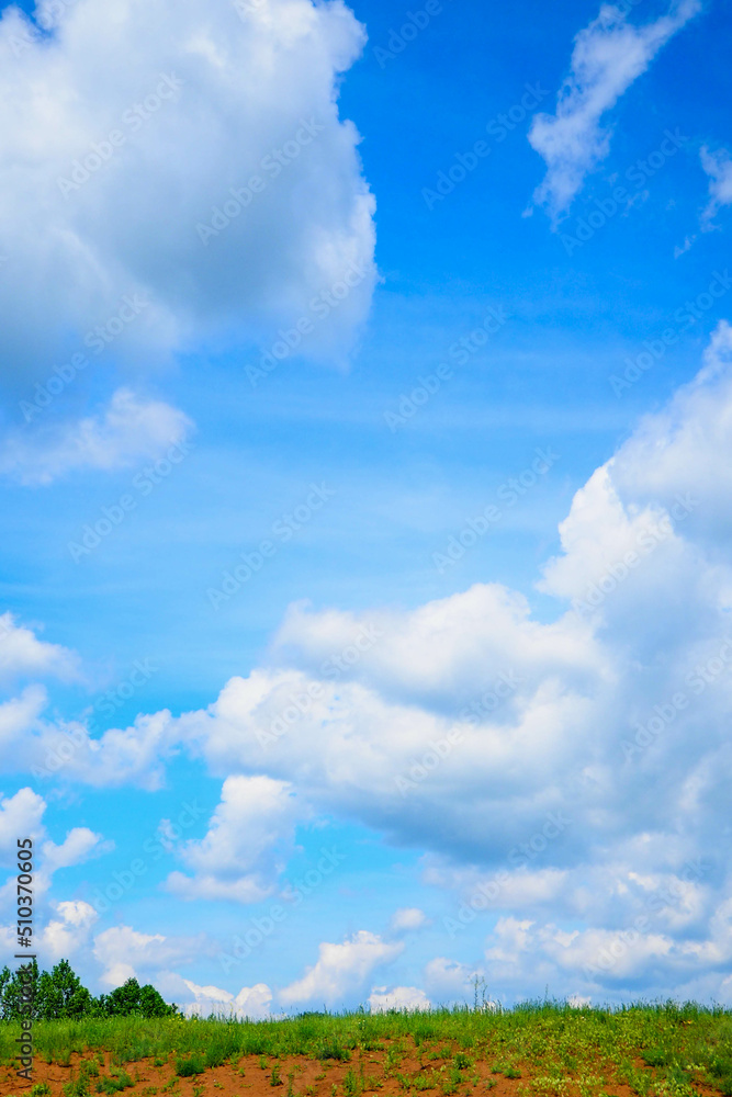 landscape with a lake or near it in early summer in the middle zone of the European part of the continent 