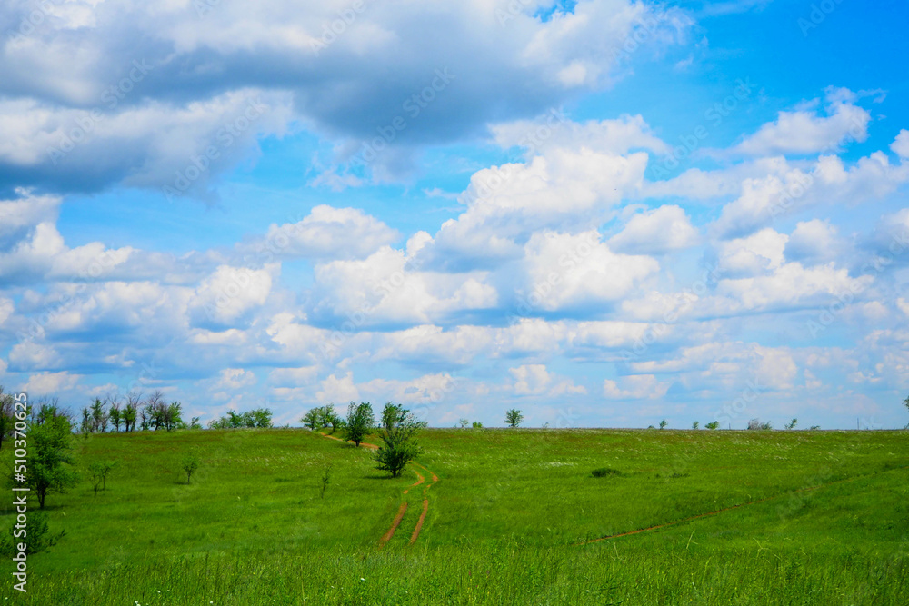 landscape with a lake or near it in early summer in the middle zone of the European part of the continent landscape with a lake or near it in early summer in the middle zone of the European part of the continent