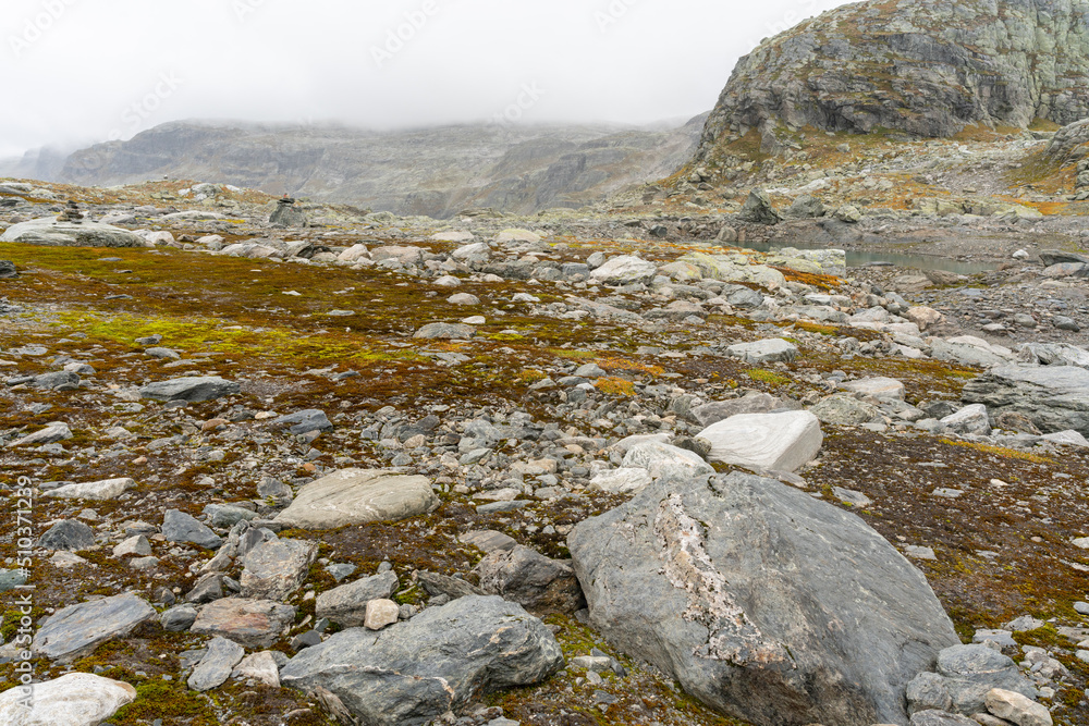 Rocks near Nupstjorn at 1300m in Telemarken (Norway) on Hardangervidda.