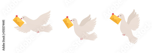 Bird with message in different positions. Pigeon with envelope. Concept chat and communication, message passing.