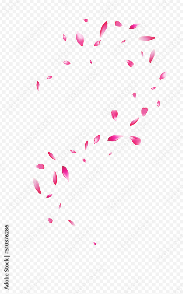 Red Peach Summer Vector Transparent Background.