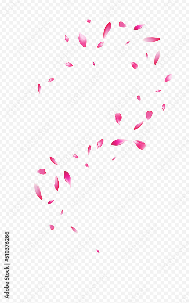 Red Peach Summer Vector Transparent Background. Red Peach Summer Vector Transparent Background.