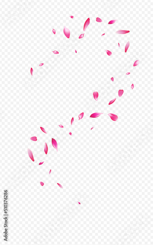 Red Peach Summer Vector Transparent Background.