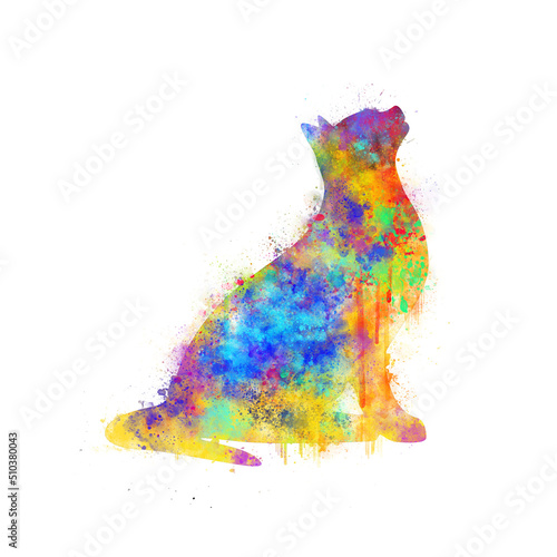 Foto abstract cat on white, colorful cat, LGBT,  watercolor cat