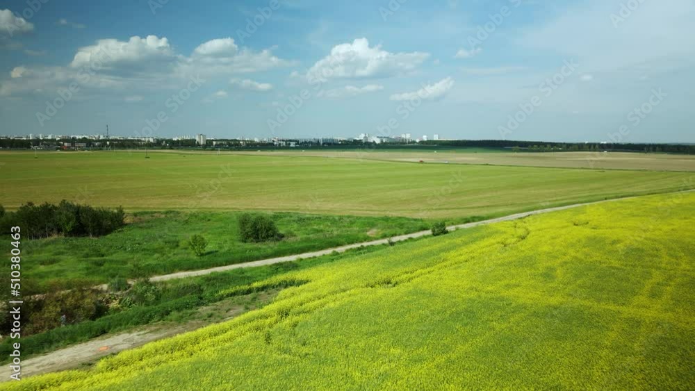 Blooming rapeseed field. Aerial photography. Blooming rapeseed field. Aerial photography.